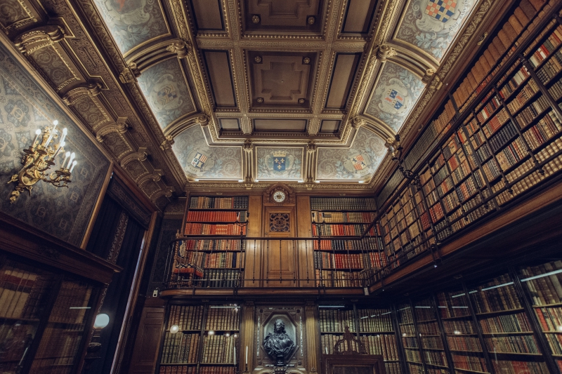 bibliotheque-CARROS-min_library-863148